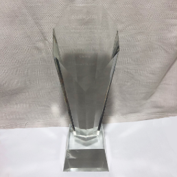 Glorious Journey Award3