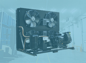 Today’s cold chain is full of complexities and navigating it successfully takes a comprehensive amount of data...